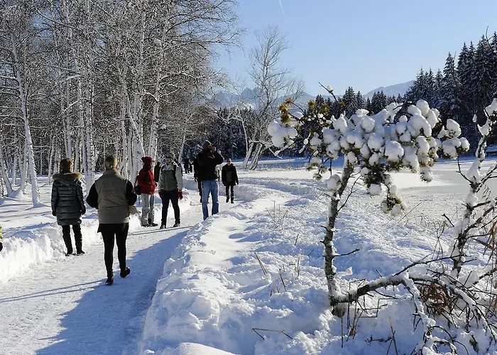 Suedtiroler Stube * Зеефельд в Тироле